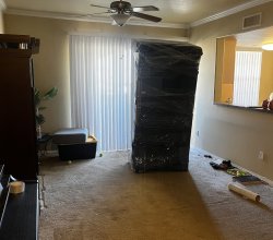 Spirit Move