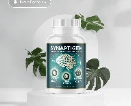 Synaptigen Natural Supplement USA