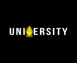 Trap University US
