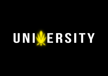 Trap University US