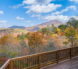 Your Perfect Mountain Escape in the Blue Ridge Foothills
