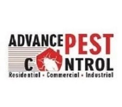 Advance Pest Control Vancouver