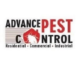 Advance Pest Control Vancouver