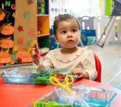 Choosing the Right Montessori Preschool in McAllen, TX