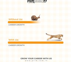 Join the Web Development Course in Patiala at PIIM