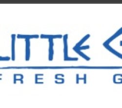 Little Greek Fresh Grill Gulf to Bay