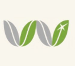 Emergency Dentist Wimbledon