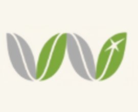 Emergency Dentist Wimbledon