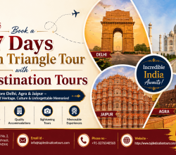 Taj Destination Tours