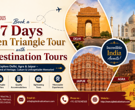 Taj Destination Tours