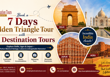 Taj Destination Tours