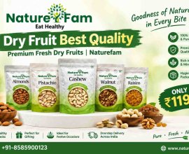 Dry Fruit Best Quality – Premium Fresh Dry Fruits | Naturefam