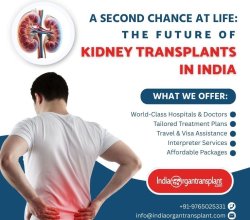 Cost of Kidney Transplant Surgery India