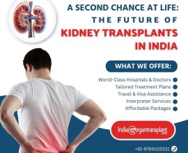 Cost of Kidney Transplant Surgery India