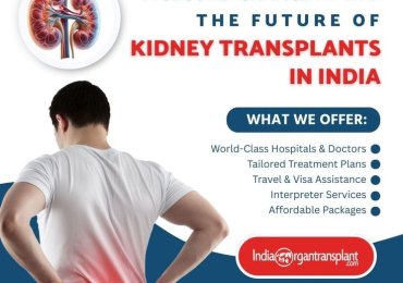 Cost of Kidney Transplant Surgery India