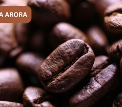 Meet Gorgeous Chennai Escorts from Chennai Queens