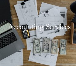 What are the 7 types of accounting?
