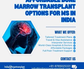Best Treatment for Multiple Sclerosis in India