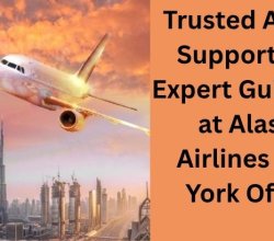 Expert Passenger Services & Travel Support – Alaska Airlines New York Office