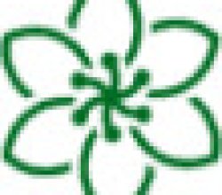 Aqua Point Health Care Acupressure and Naturopathy Centre