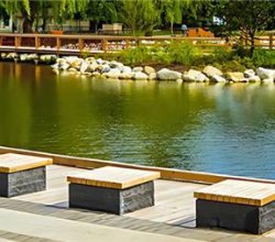 Pond Maintenance in Milton Made Simple – Aquatic Restoration