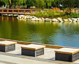 Pond Maintenance in Milton Made Simple – Aquatic Restoration