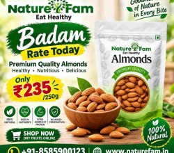Badam Rate Today & Dry Fruit Online Shop | Naturefam