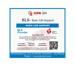 AHA BLS Certification & Renewal Course Online