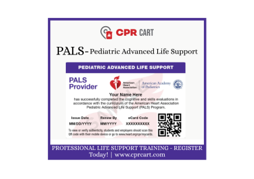 AHA PALS Certification & Renewal Course Online