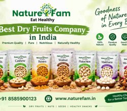 Best Dry Fruits Company in India – Premium Quality | Naturefam