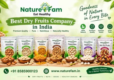 Best Dry Fruits Company in India – Premium Quality | Naturefam