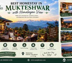 Best Homestay in Mukteshwar with Himalayan View