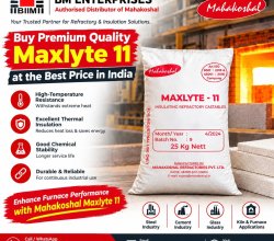 Buy Premium Quality Maxlyte 11 at the Best Price in India