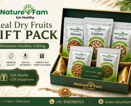Real Dry Fruits Gift Pack – Premium Healthy Gifting | Naturefam