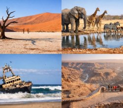 Namibia eVisa for Zimbabwean Citizens