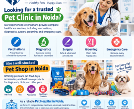 Trusted Pet Hospital in Noida | Pet Clinic in Noida | Pet Shop in Noida