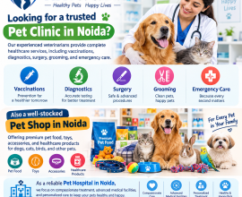 Pet Clinic in Noida | Pet Shop in Noida | Pet Hospital in Noida