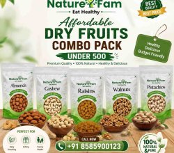 Affordable Dry Fruits Combo Pack Under 500 | Naturefam