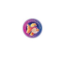 ChuChuGoldfish