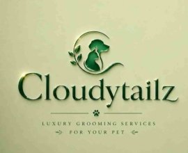 Cloudytailz