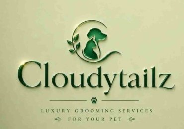 Cloudytailz