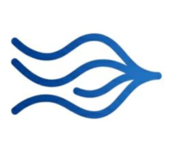 Cohessra