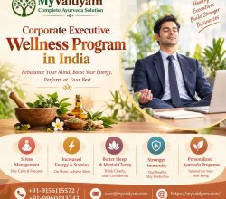 Corporate Executive Wellness Programs in India