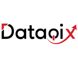 Reliable Data Outsourcing Services for Businesses
