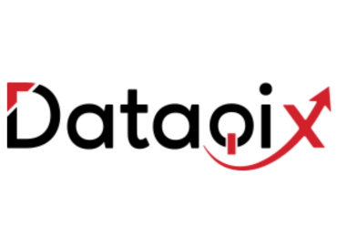 Reliable Data Outsourcing Services for Businesses