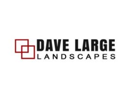 Dave Large Landscapes