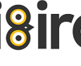 DigiBirds360: Digital & Performance Marketing Agency