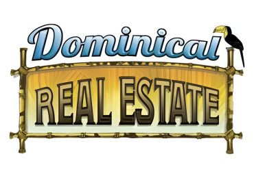 Real Estate Agent