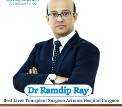 Dr Ramdip Ray Liver Transplant Surgeon Artemis Gurgaon