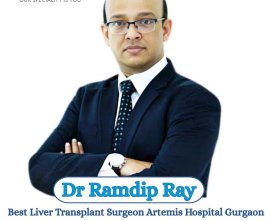 Dr Ramdip Ray Liver Transplant Surgeon Artemis Gurgaon